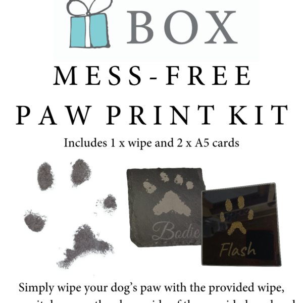 Mess-Free Paw Print Kit