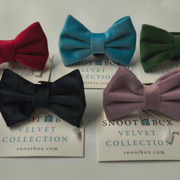 Snoot Box Velvet Bows
