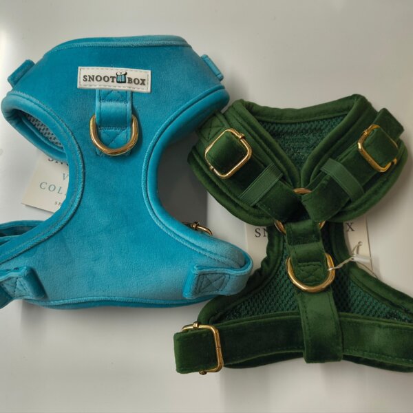 Snoot Box Velvet Harnesses