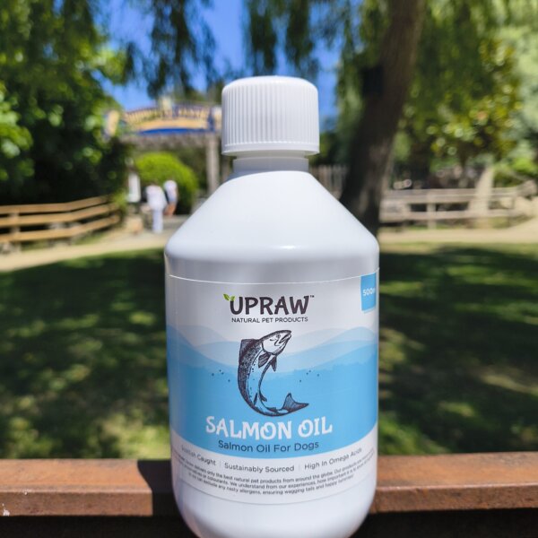 Salmon Oil (500ml)