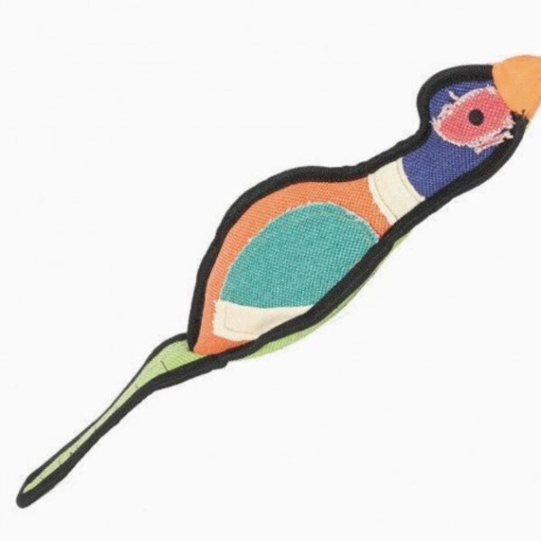 Gaudy Game Pheasant