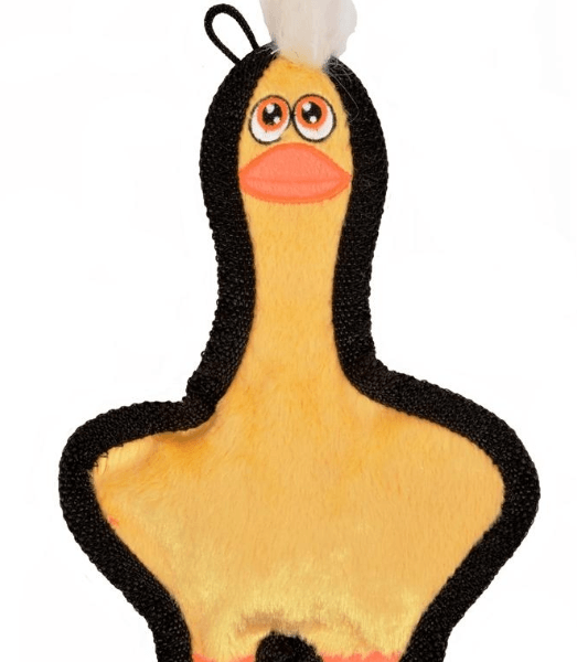 Immortals Mini Duck