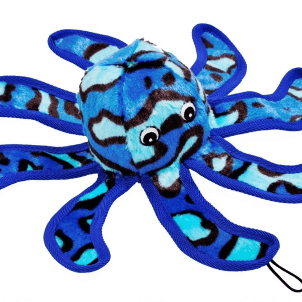 Immortals Octopus