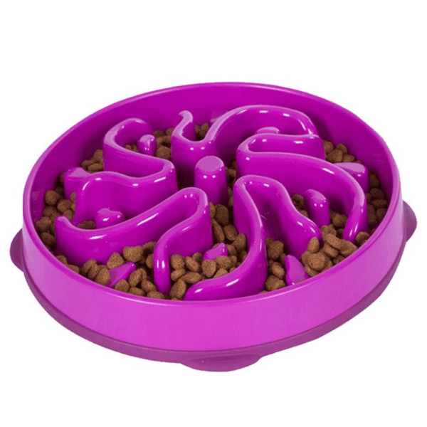 Slow Feeder Bowl